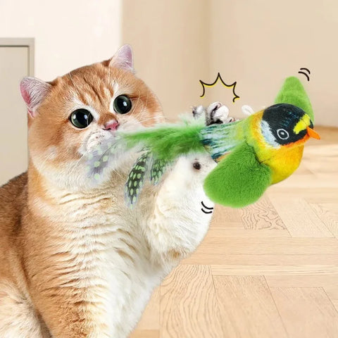 Interactive Catnip Cat Toy