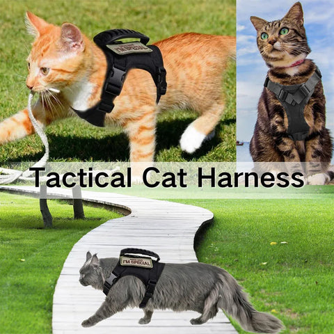 Adjustable Pet Vest with Leash