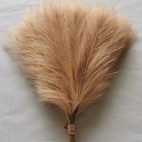 High Quality Decorative Pampas Grass