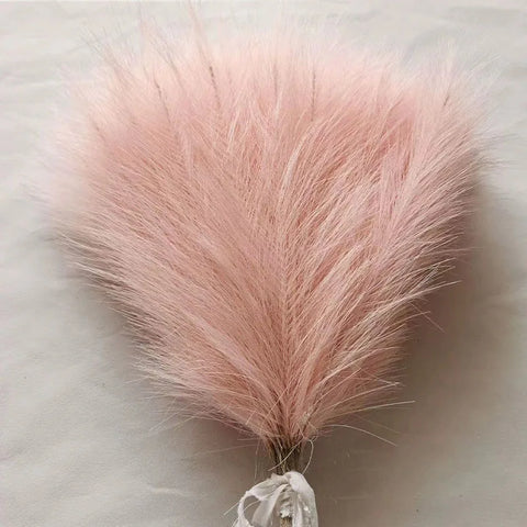 High Quality Decorative Pampas Grass