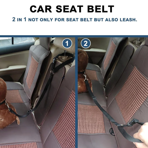 Backseat Dog Harness and Leash