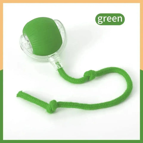 Automatic Rolling Cat Ball Toy