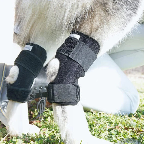 Pet Leg Injury Recovery Wrap