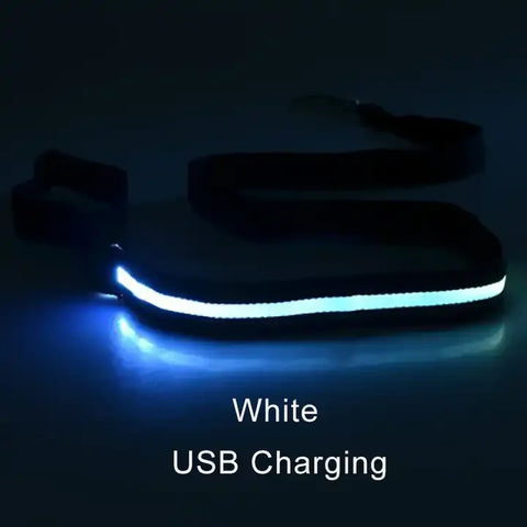 Luminous Flashing Dog Rope Lead