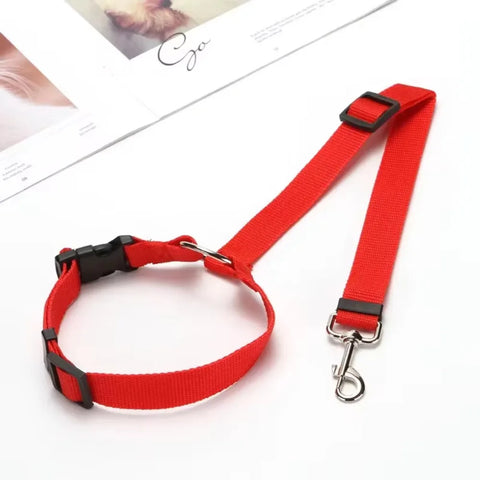 Backseat Dog Harness and Leash
