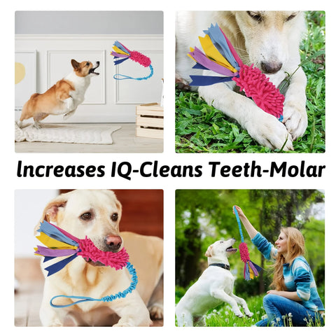 Dog Training Pull Rope and Ball Toy