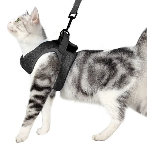 Cat Walking Vest with Leash