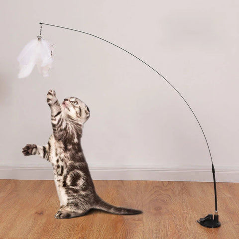 Bird Feather Cat Wand Interactive Toy