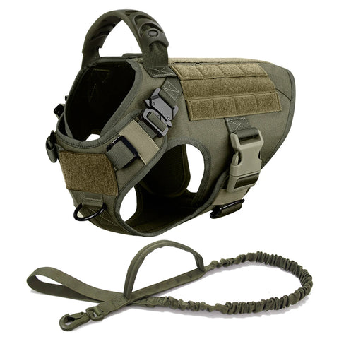 Large Dog Harness Collar and Leash