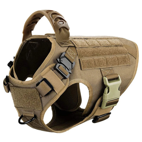 Large Dog Harness Collar and Leash