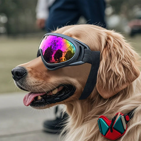 Outdoor Dog Goggles Eye Shield