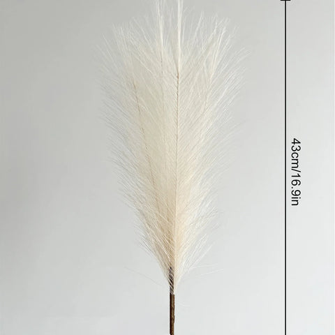 High Quality Decorative Pampas Grass