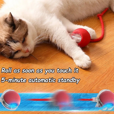 Automatic Rolling Cat Ball Toy