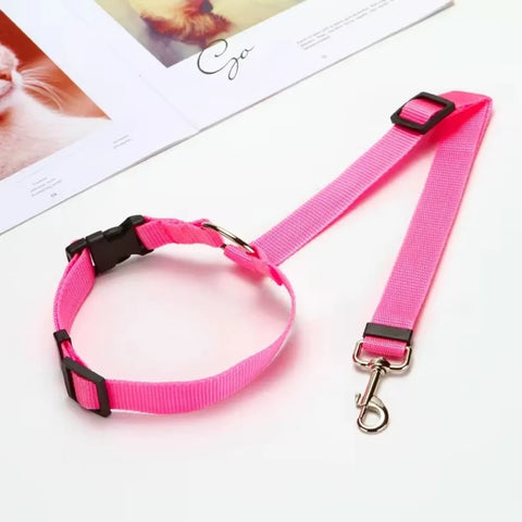 Backseat Dog Harness and Leash