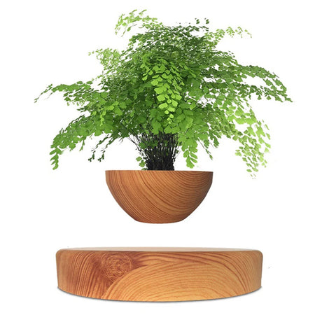 Levitating Magnetic Flower Pot