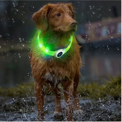 Waterproof Glowing Dog Collar