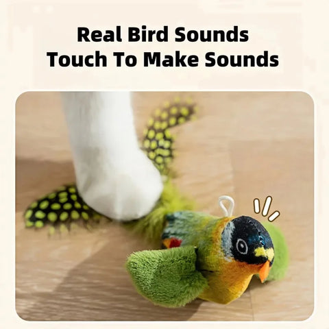 Cat Toy for Kittens with Catnip