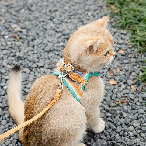 Reflective Cat Dog Harness