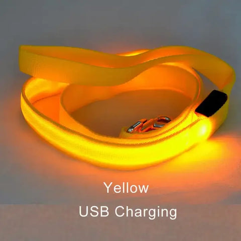 Luminous Flashing Dog Rope Lead