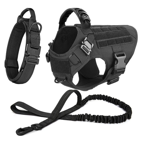 Large Dog Harness Collar and Leash