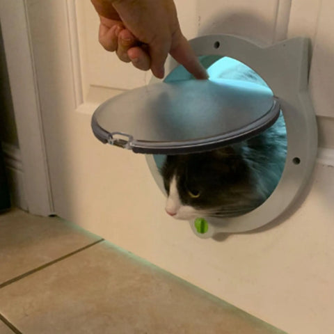 Automatic Cat Flap for Doors