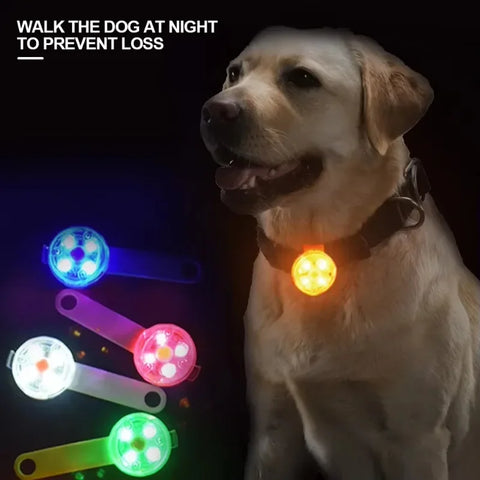 Light Up Dog and Cat Collar