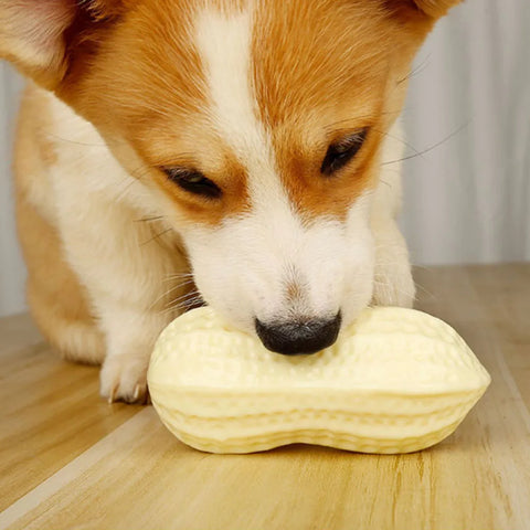 Durable Chew Ball for Dogs
