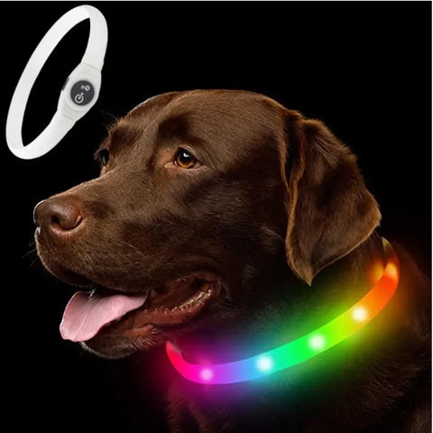 Waterproof Glowing Dog Collar