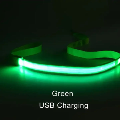Luminous Flashing Dog Rope Lead