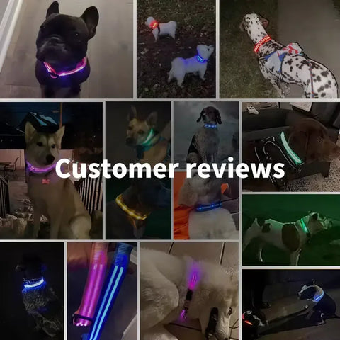 Rechargeable Flashing Pet Collar