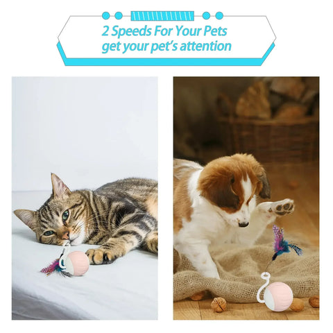 Touch Control Interactive Cat Toy