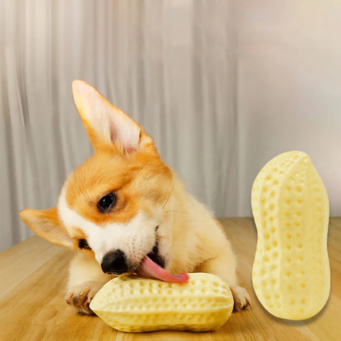 Durable Chew Ball for Dogs