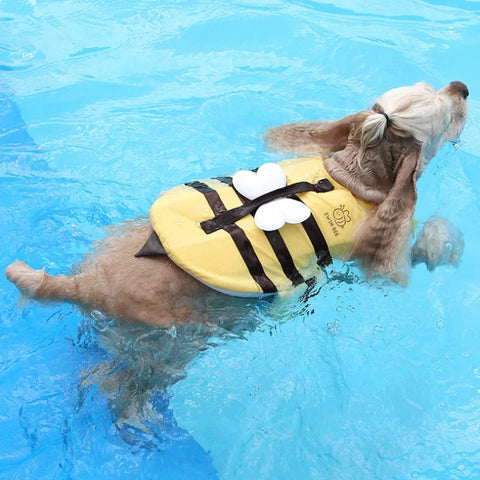 Waterproof Puppy Swimsuit