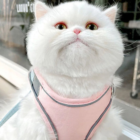 Reflective Cat Dog Harness