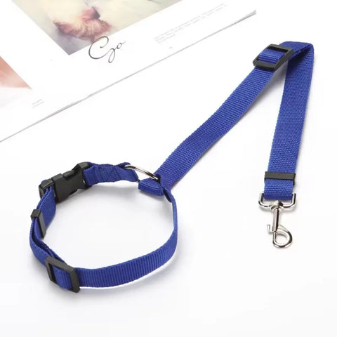 Backseat Dog Harness and Leash