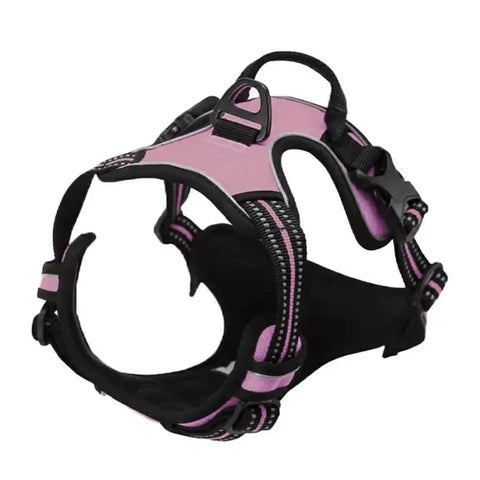 Leather Dog Collar Harness and Leash Set