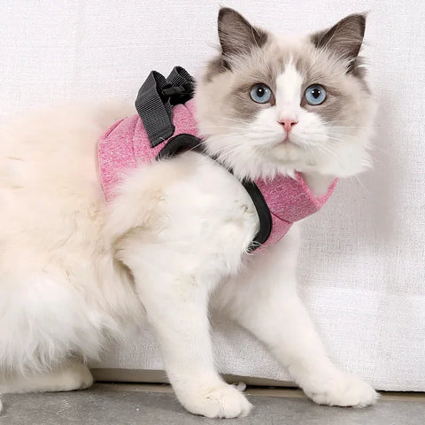 Cat Walking Vest with Leash