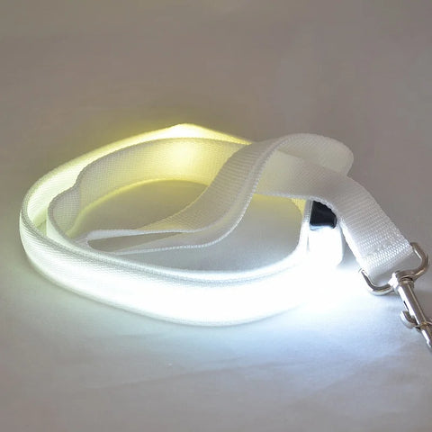 Luminous Flashing Dog Rope Lead
