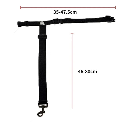 Backseat Dog Harness and Leash