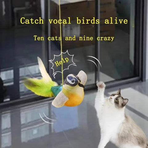 Cat Toy for Kittens with Catnip