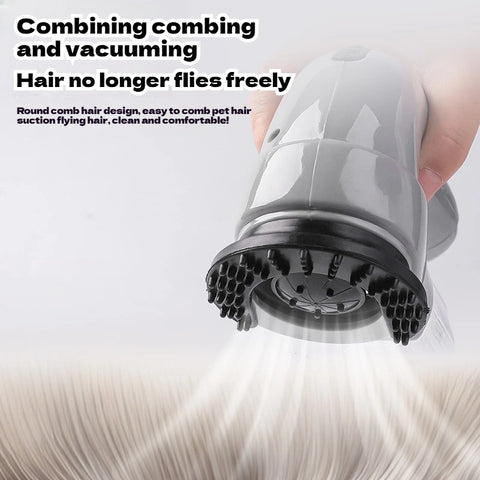 Electric Cat and Dog Hair Remover