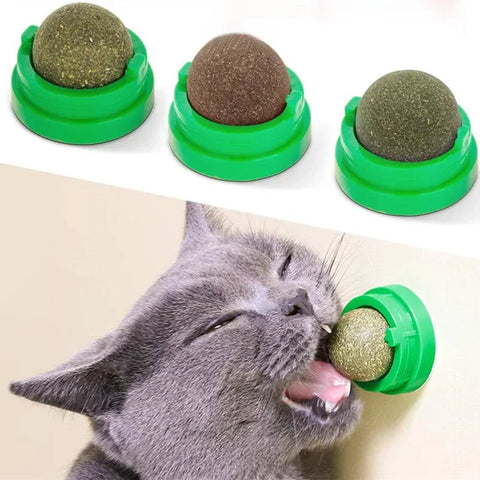 Natural Catnip Wall Cat Toy