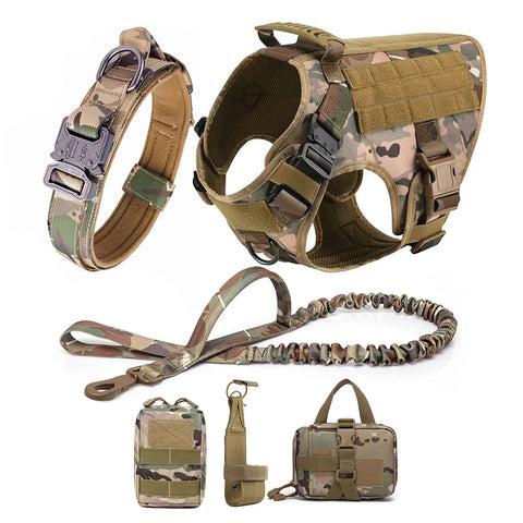 Large Dog Harness Collar and Leash