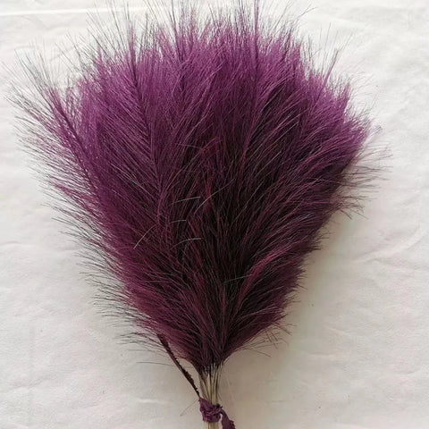 High Quality Decorative Pampas Grass
