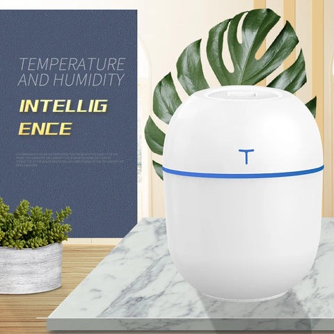 Compact Large Spray Humidifier