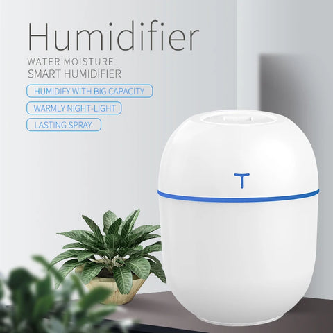 Compact Large Spray Humidifier