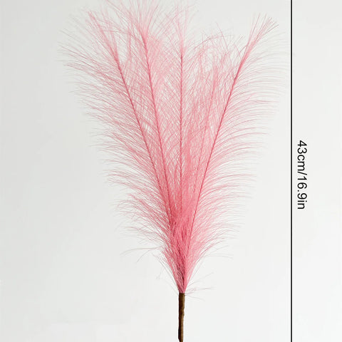 High Quality Decorative Pampas Grass