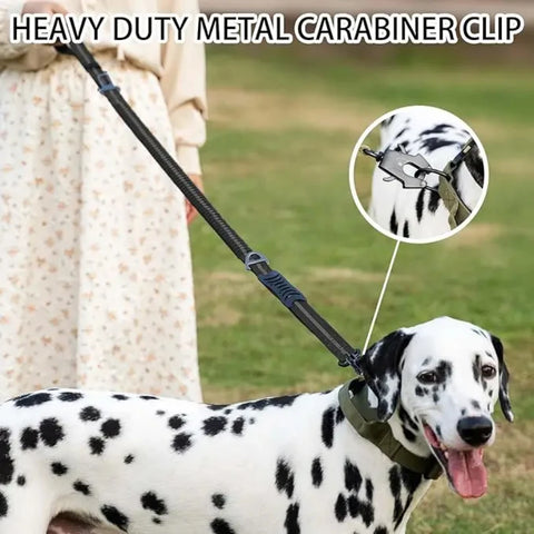 Reflective Shock Absorbing Dog Leash