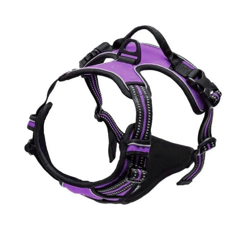 Leather Dog Collar Harness and Leash Set
