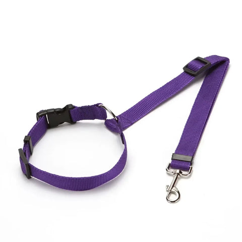 Backseat Dog Harness and Leash